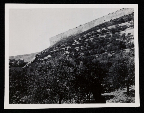 Jérusalem : vallée du Cédron [Le pinacle du Temple]