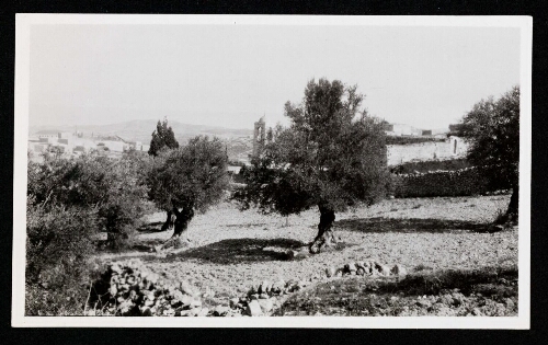 El Azarieh, site du tombeau de Lazare