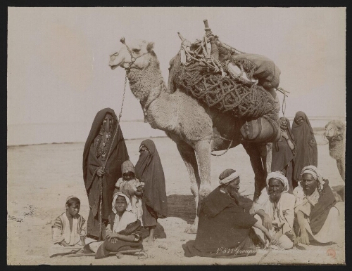 N°511. Groupe de bédouins et chameaux