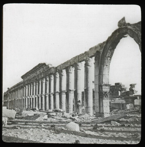 Palmyre. La colonnade de 1500 mètres