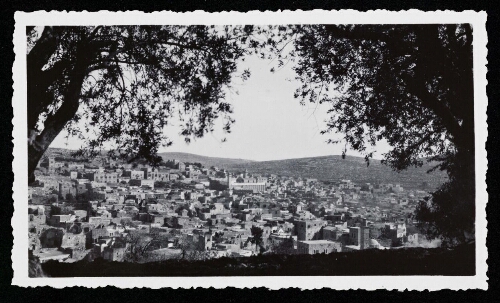 D17 : Hébron, vu de la colline d'Arbaïn