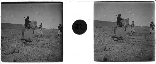 54 - 15 février : Vers le sud de la Mer Morte. Sheikh bédouin sur sa chamelle