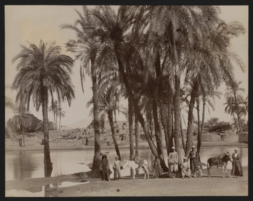 195. Village de Karnak