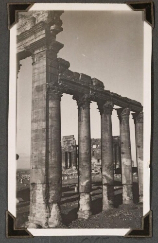 Palmyre : Temple de Bêl. Colonnade au Sud de l'esplanade