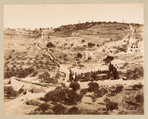 Mont des Oliviers - Jérusalem