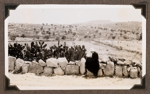 Beit Djilbrin : Vue de la vallée et de Tell Sandahanna
