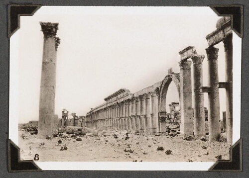 Palmyre : [La grande colonnade]