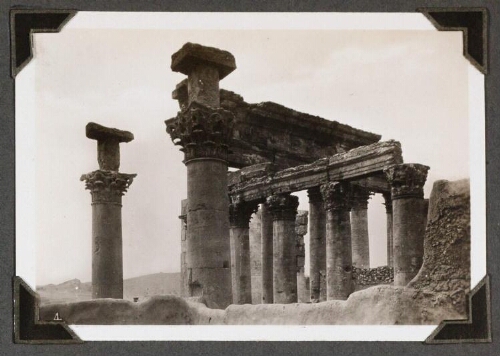 Palmyre : [détail de colonnes]