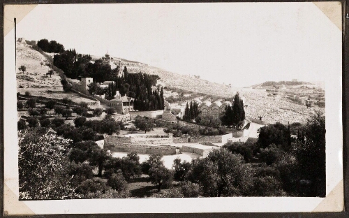 Jérusalem : Le Mont des Oliviers. Gethsémani