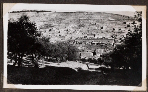 Jérusalem : Débouché de la vallée Er-Rababi dans celle du Cédron. Mont du Mauvais Conseil