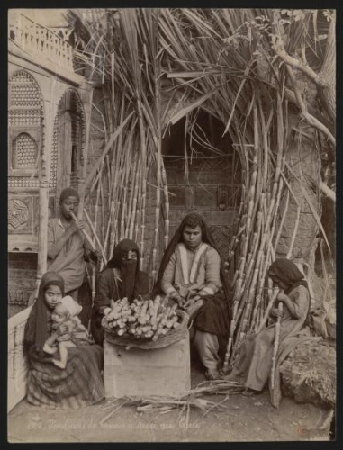620. Vendeuses de cannes à sucre au Caire