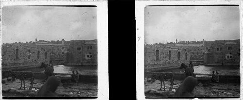 11 - 17 février : Hébron. Le Birket, vue du Haram - Piscine – Mosquée