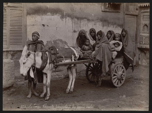 738. Le Caire. Charrette transportant des femmes arabes