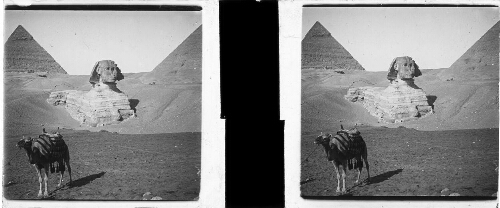 24 - Environs du Caire. Sphynx entre les pyramides de Chéops et de Chéphren