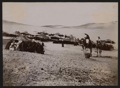 1452. Scène du désert : Arrivée de chameliers à un campement de tribu