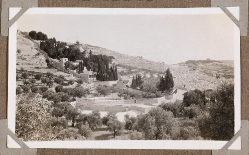 Jérusalem : Le Mont des Oliviers. Gethsémani