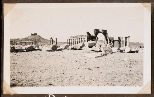 Palmyre : Colonnade avec forteresse
