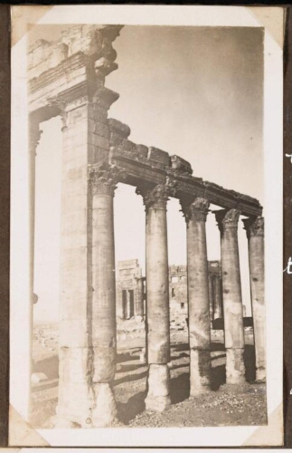 Palmyre : Colonnade à l'Est de la terrasse du temple du soleil