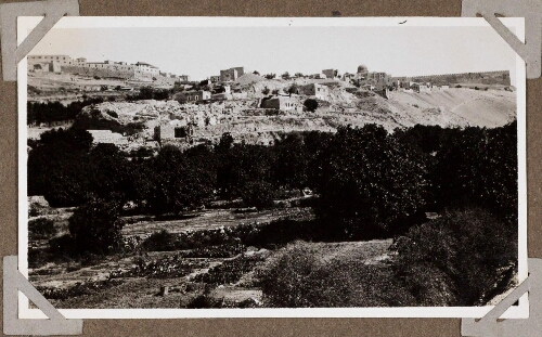 Jérusalem : Eperon d'Ophel, jardin du roi direction Nord-Ouest