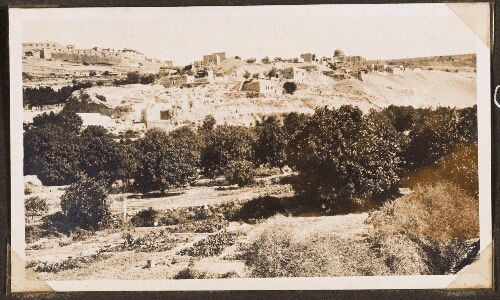 Jérusalem : Eperon d'Ophel, jardin du roi direction Nord-Ouest