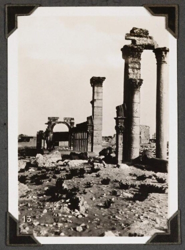 Palmyre : [dans l'axe de la grande colonnade]