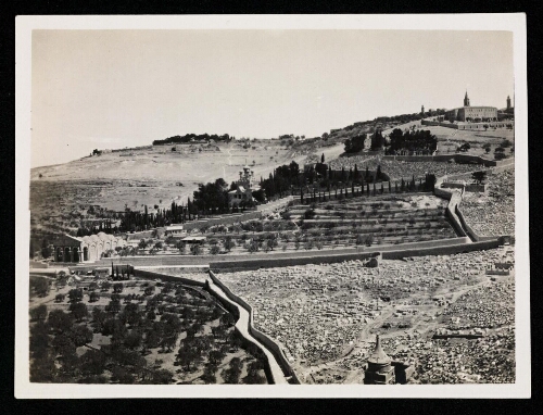 Jérusalem : Le Mont des Oliviers vu de l'esplanade de la mosquée d'Omar