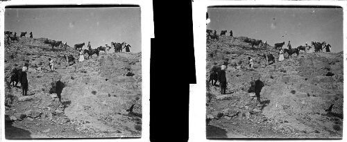 67 - 12 février : Wadi Daradjé (des degrés)